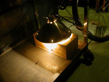 incubator